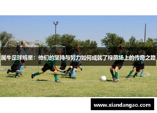 属牛足球明星：他们的坚持与努力如何成就了绿茵场上的传奇之路