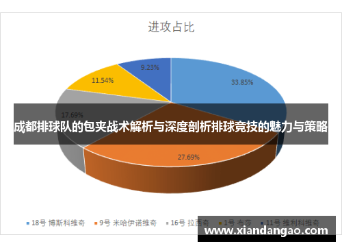 成都排球队的包夹战术解析与深度剖析排球竞技的魅力与策略