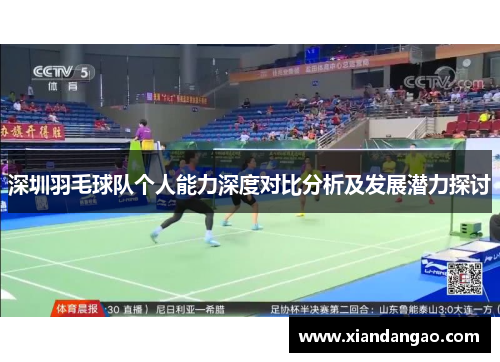 深圳羽毛球队个人能力深度对比分析及发展潜力探讨