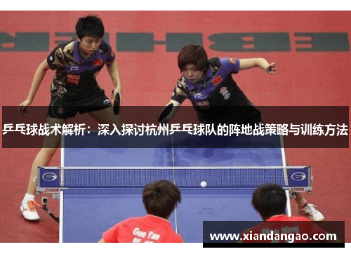 乒乓球战术解析：深入探讨杭州乒乓球队的阵地战策略与训练方法
