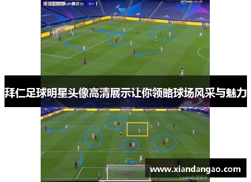 拜仁足球明星头像高清展示让你领略球场风采与魅力